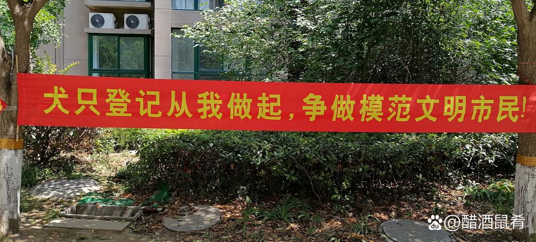 维克特救援